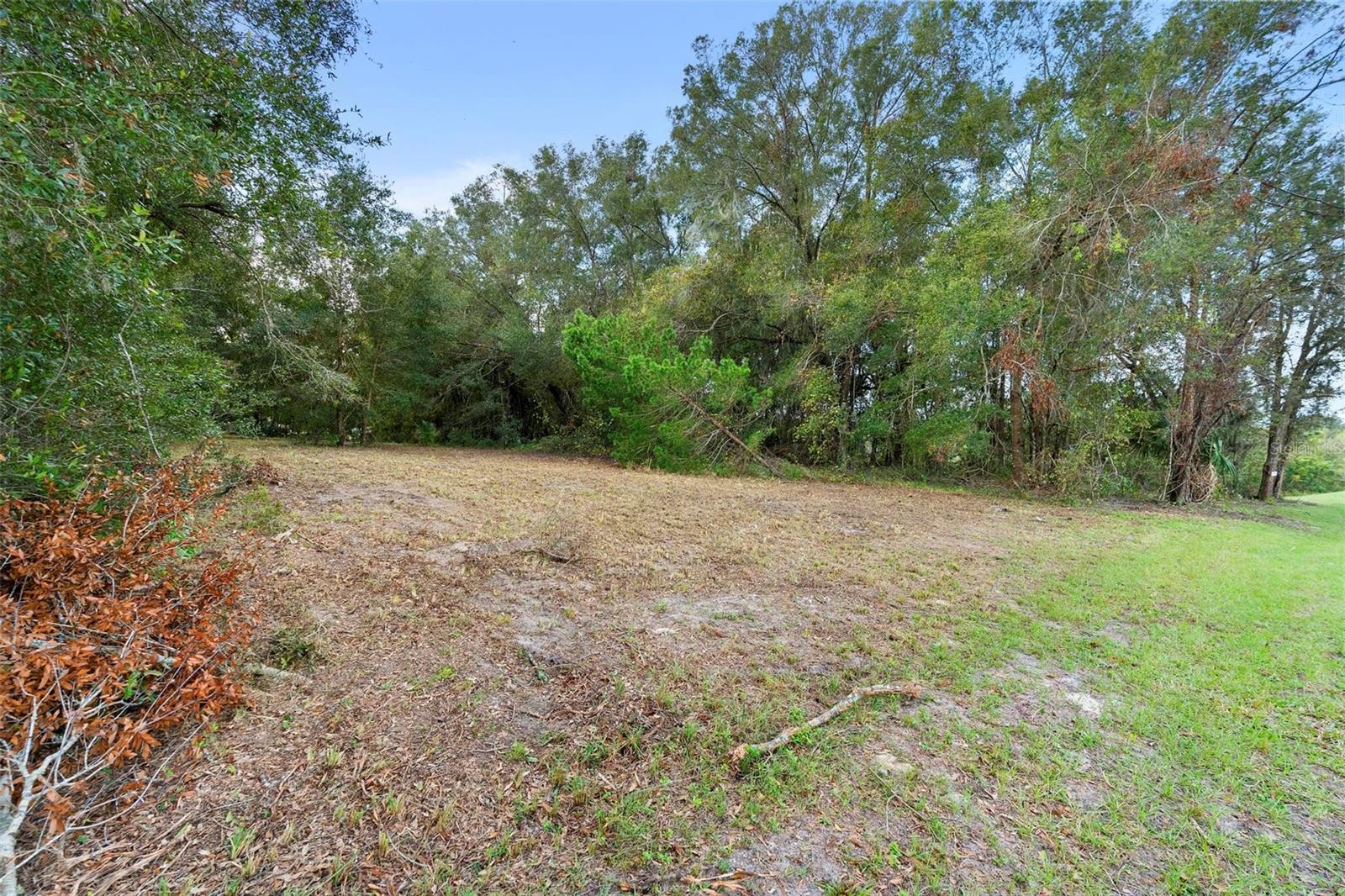 214 W INTERNATIONAL SPEEDWAY BLVD, DELAND, FL — photo 24