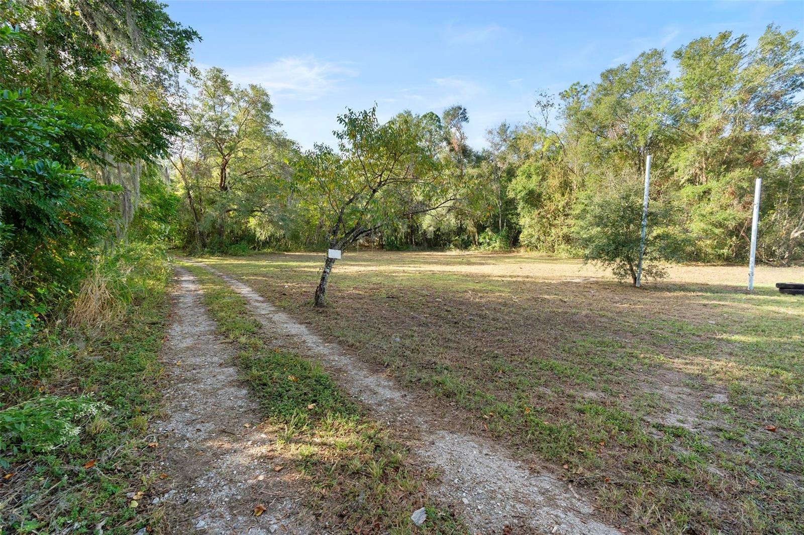 214 W INTERNATIONAL SPEEDWAY BLVD, DELAND, FL — photo 25