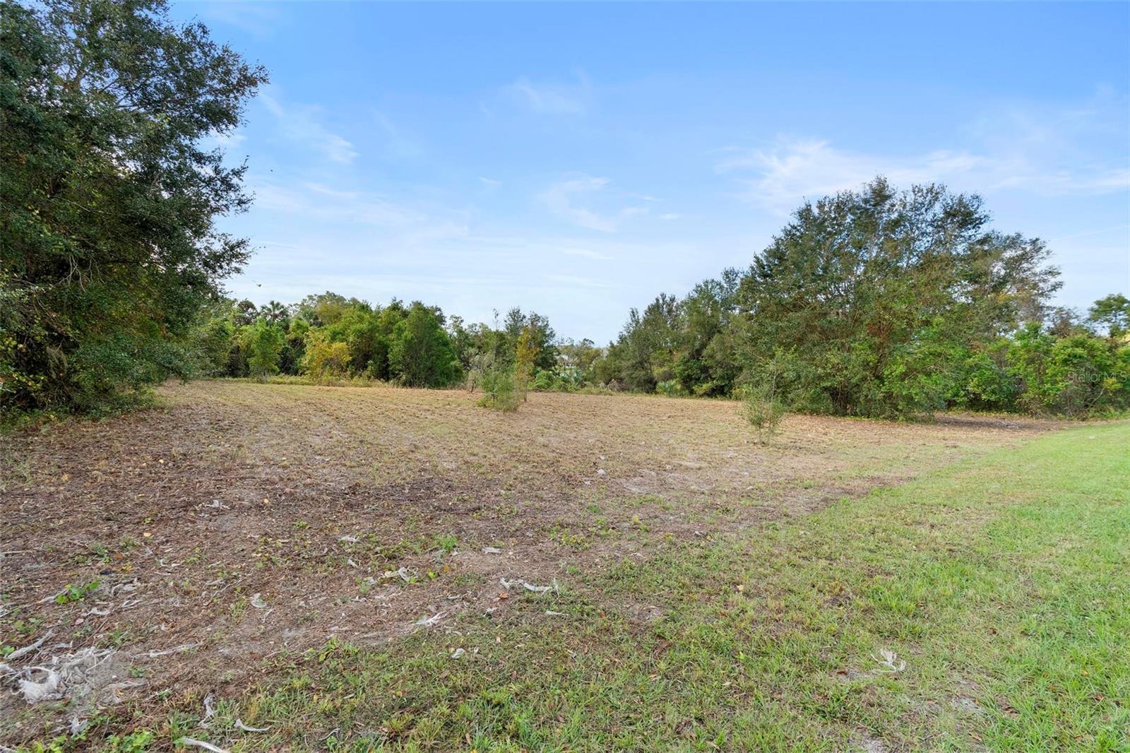 214 W INTERNATIONAL SPEEDWAY BLVD, DELAND, FL — photo 21
