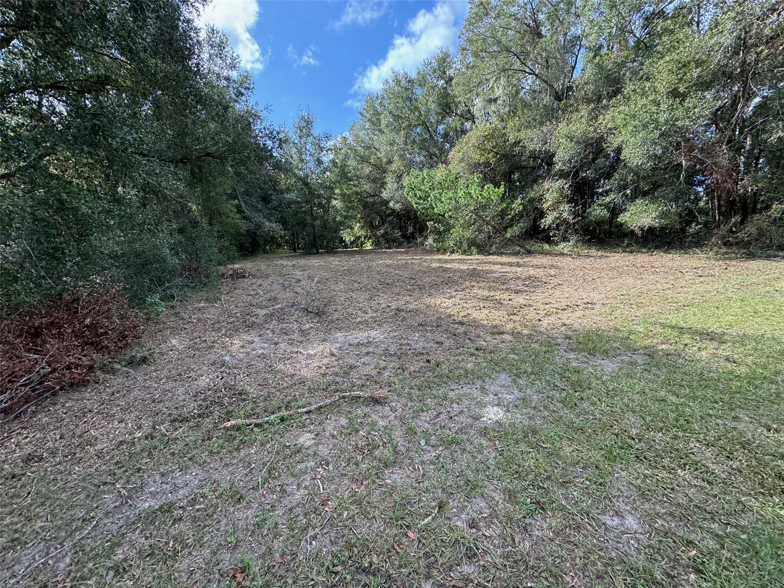 214 W INTERNATIONAL SPEEDWAY BLVD, DELAND, FL — photo 26