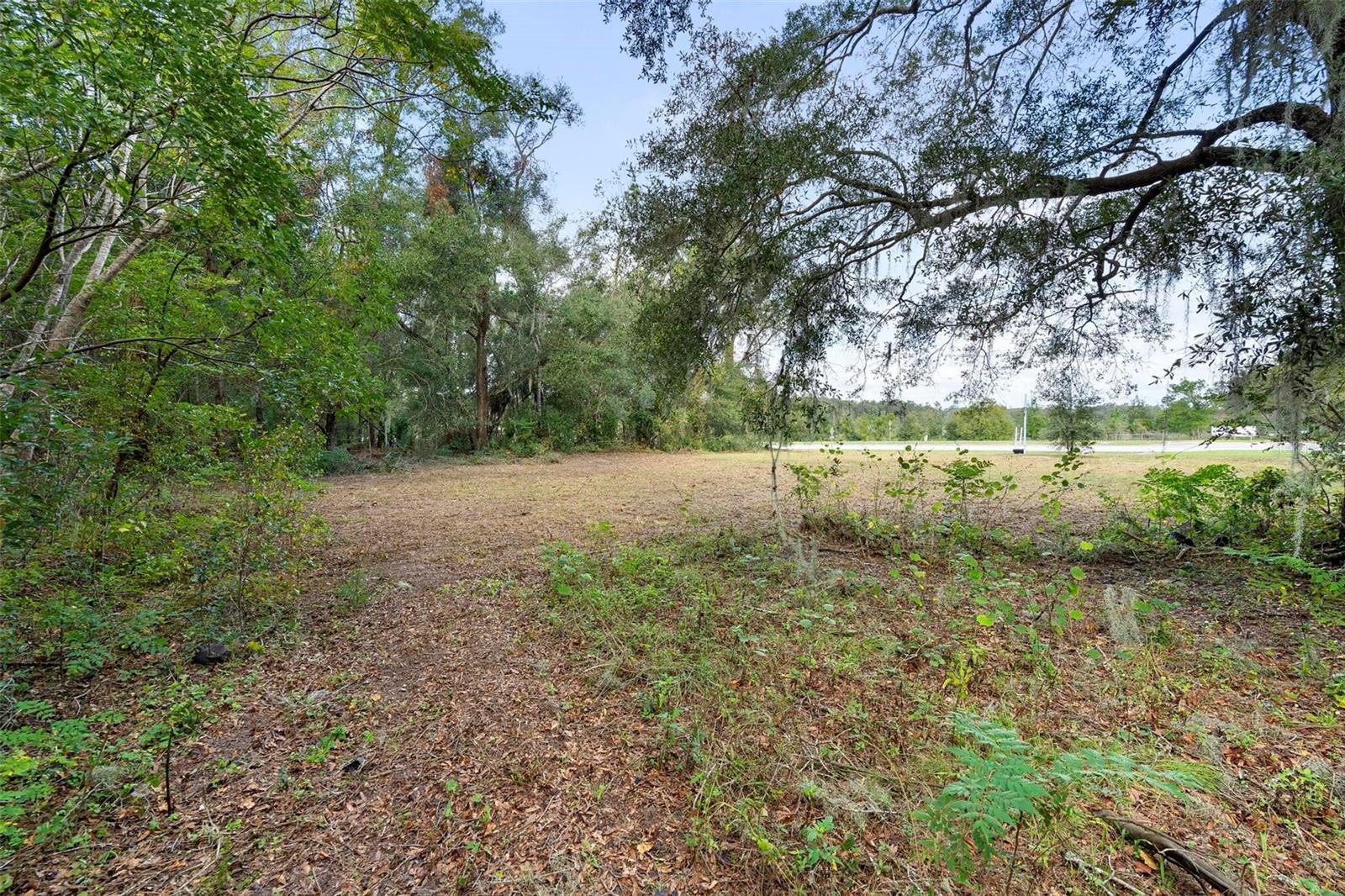 214 W INTERNATIONAL SPEEDWAY BLVD, DELAND, FL — photo 29