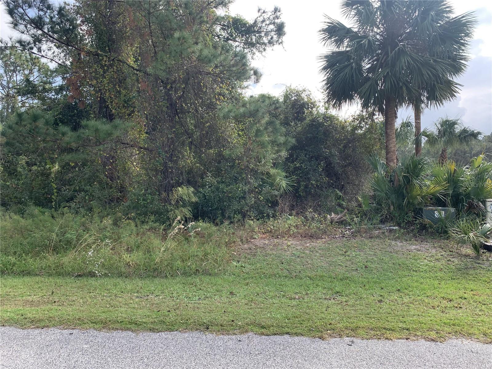 220 LIVE OAK BLVD, CRESCENT CITY, FL — photo 2