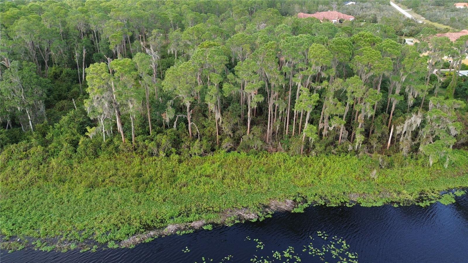 3029 HAWKS LANDING CIR, SEBRING, FL — photo 5