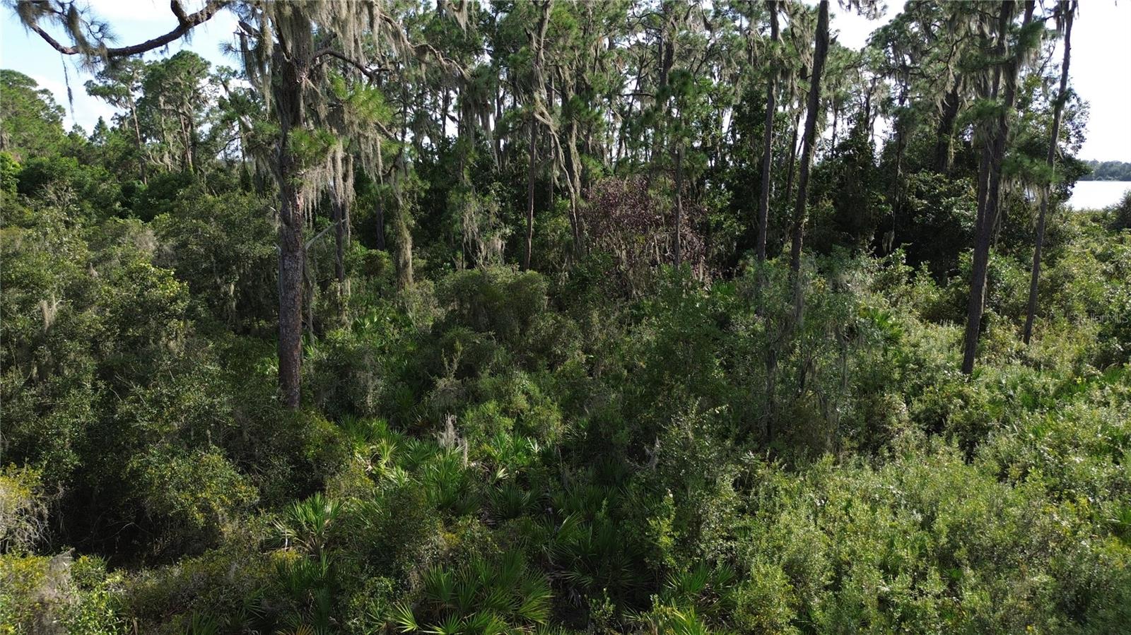 3029 HAWKS LANDING CIR, SEBRING, FL — photo 27