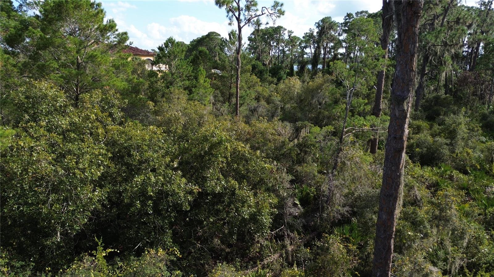 3029 HAWKS LANDING CIR, SEBRING, FL — photo 29