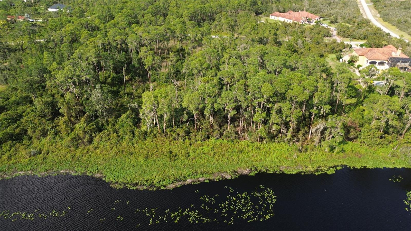 3029 HAWKS LANDING CIR, SEBRING, FL — photo 38