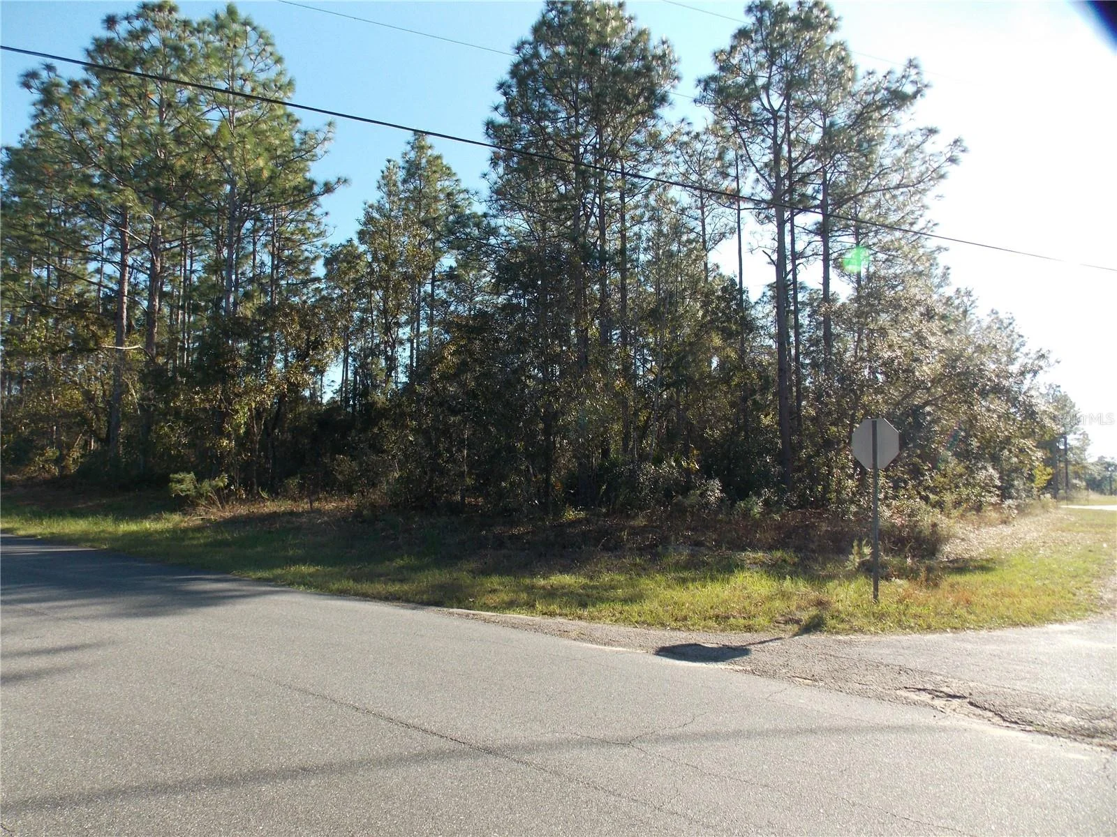 9432 N CHERRY LAKE DR, CITRUS SPRINGS, FL — photo 2