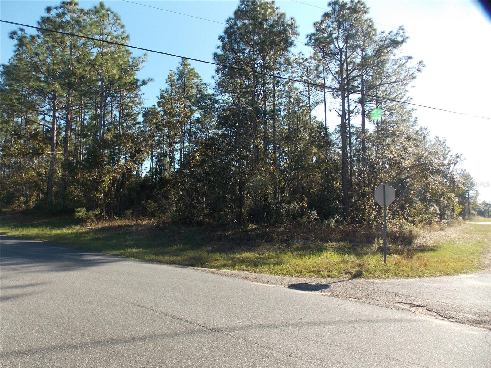 9432 N CHERRY LAKE DR, CITRUS SPRINGS, FL