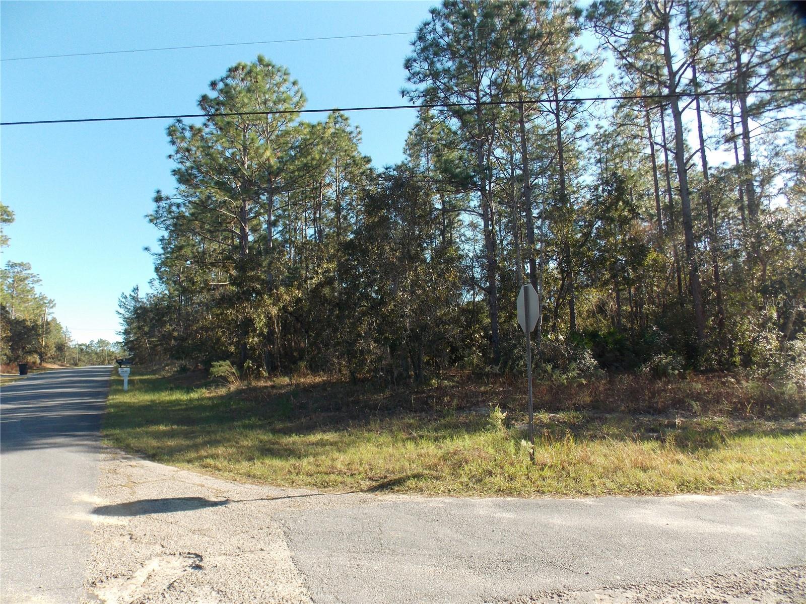 9432 N CHERRY LAKE DR, CITRUS SPRINGS, FL — photo 3
