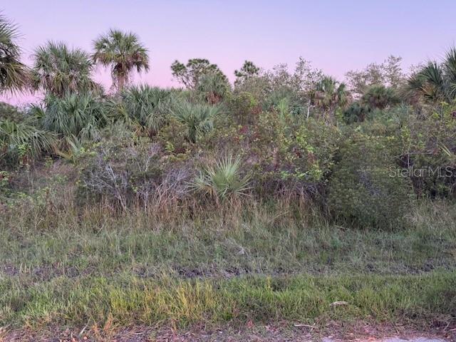 2106 RICKOVER ST, PORT CHARLOTTE, FL — photo 3