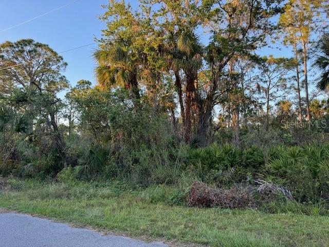 14103 CARRIE AVE, PORT CHARLOTTE, FL