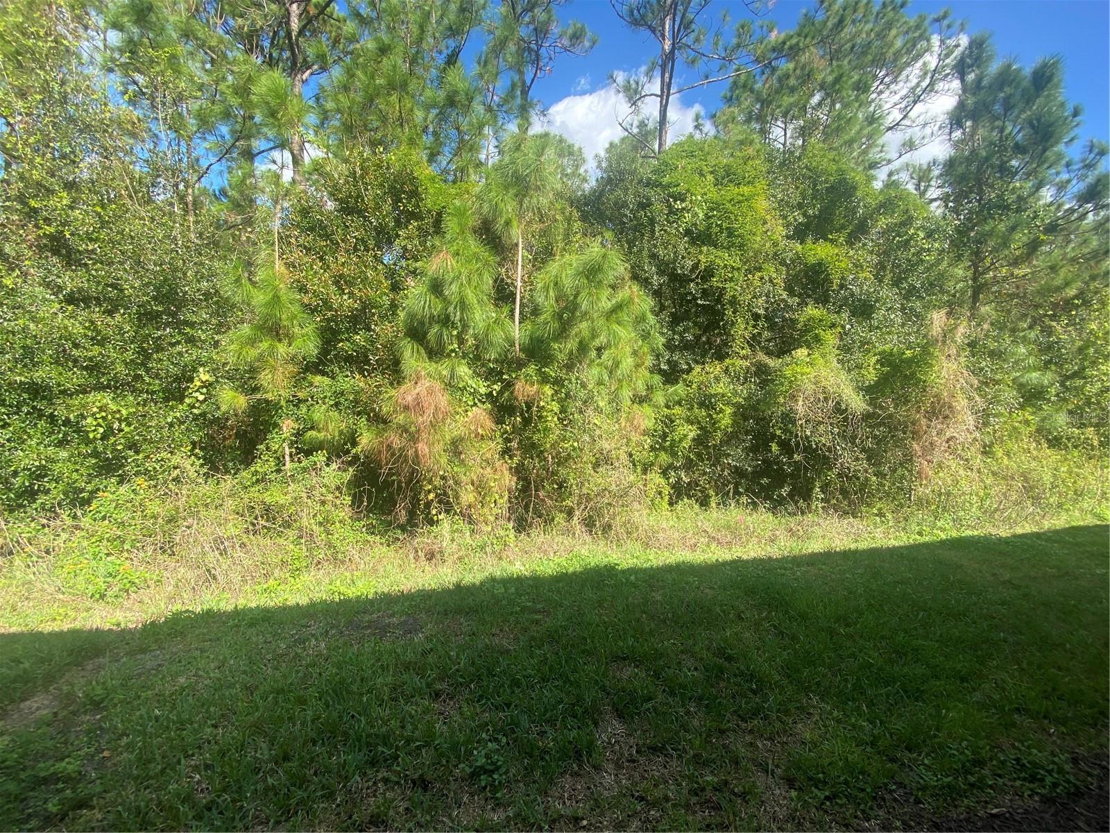 1561 VIENNA SQUARE DR, WINTER HAVEN, FL — photo 32