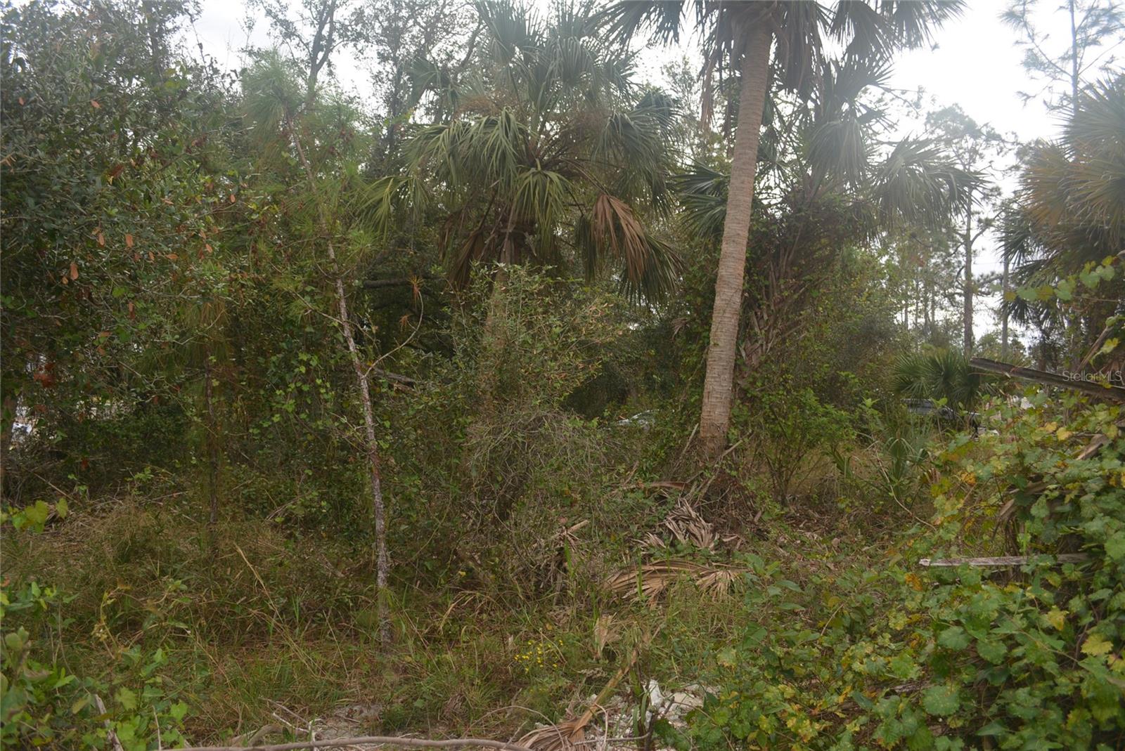 MADDOCK CIR, NORTH PORT, FL — photo 18
