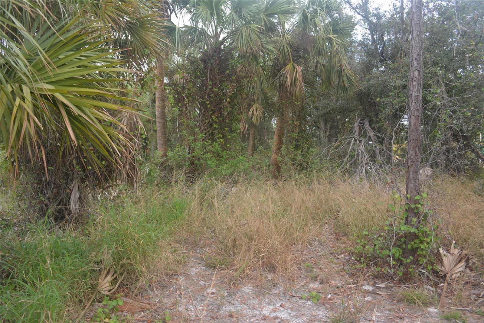 MADDOCK CIR, NORTH PORT, FL — photo 20