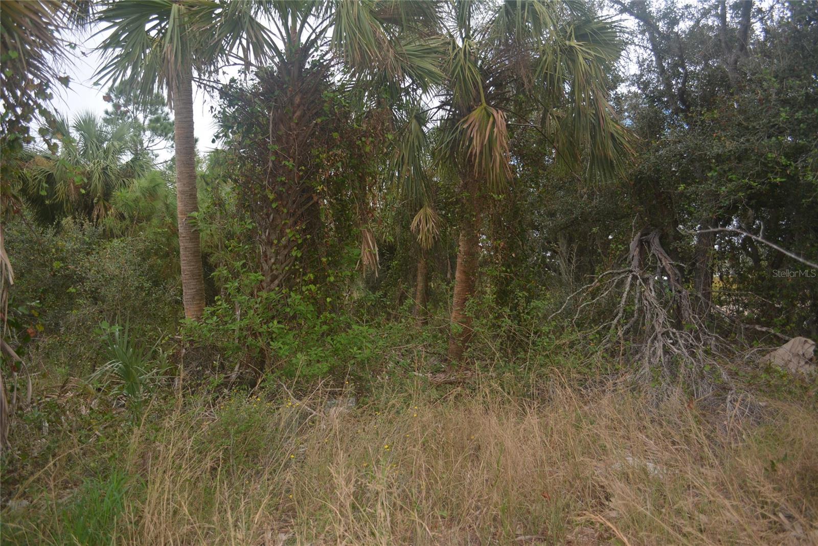 MADDOCK CIR, NORTH PORT, FL — photo 23