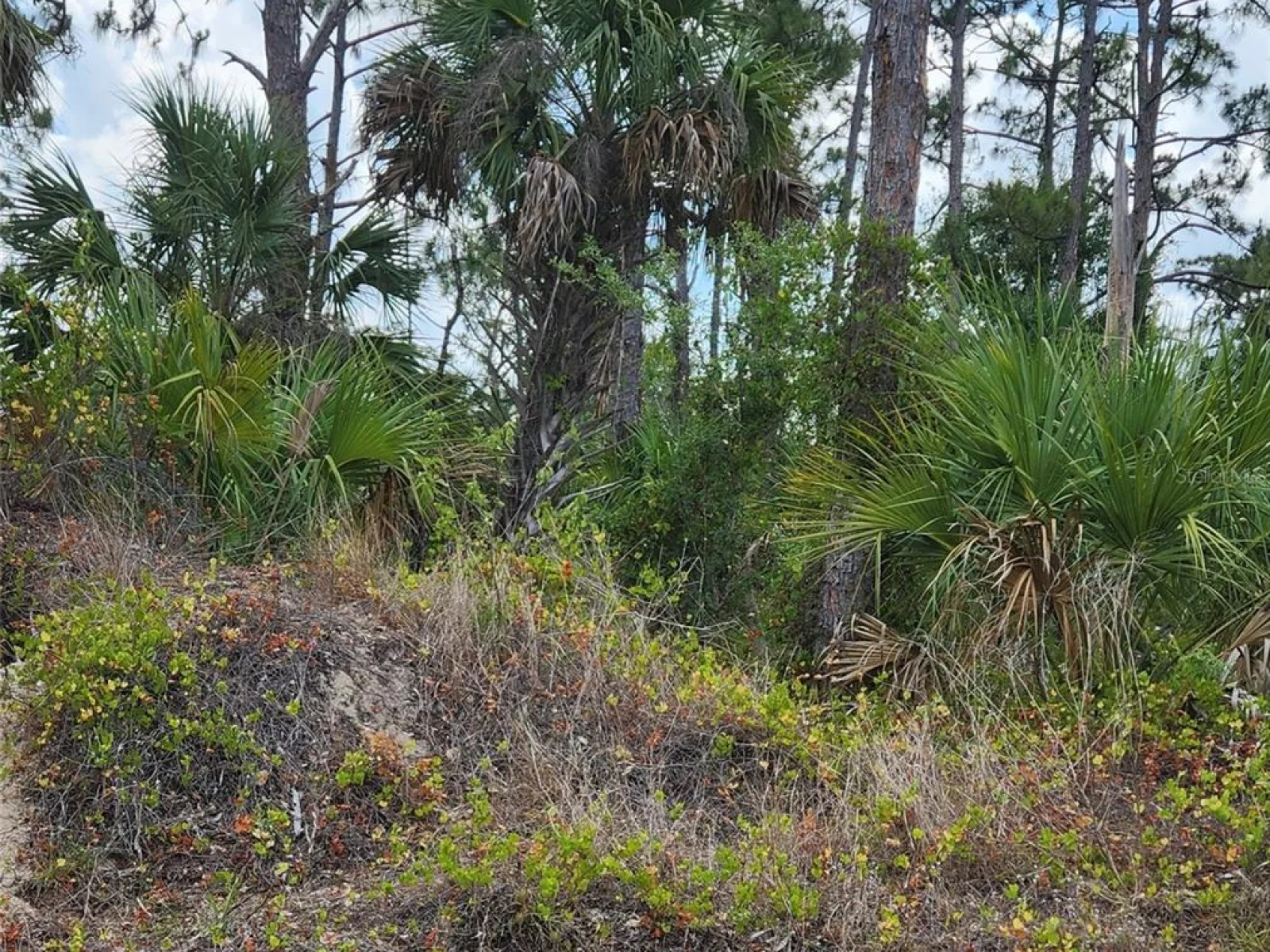 MCGINNIS TER, NORTH PORT, FL — photo 4
