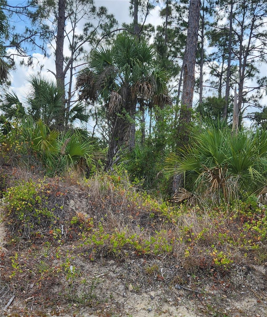 MCGINNIS TER, NORTH PORT, FL — photo 3