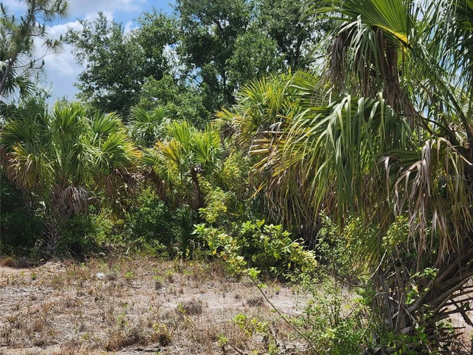 BENNINGTON ST, NORTH PORT, FL — photo 4