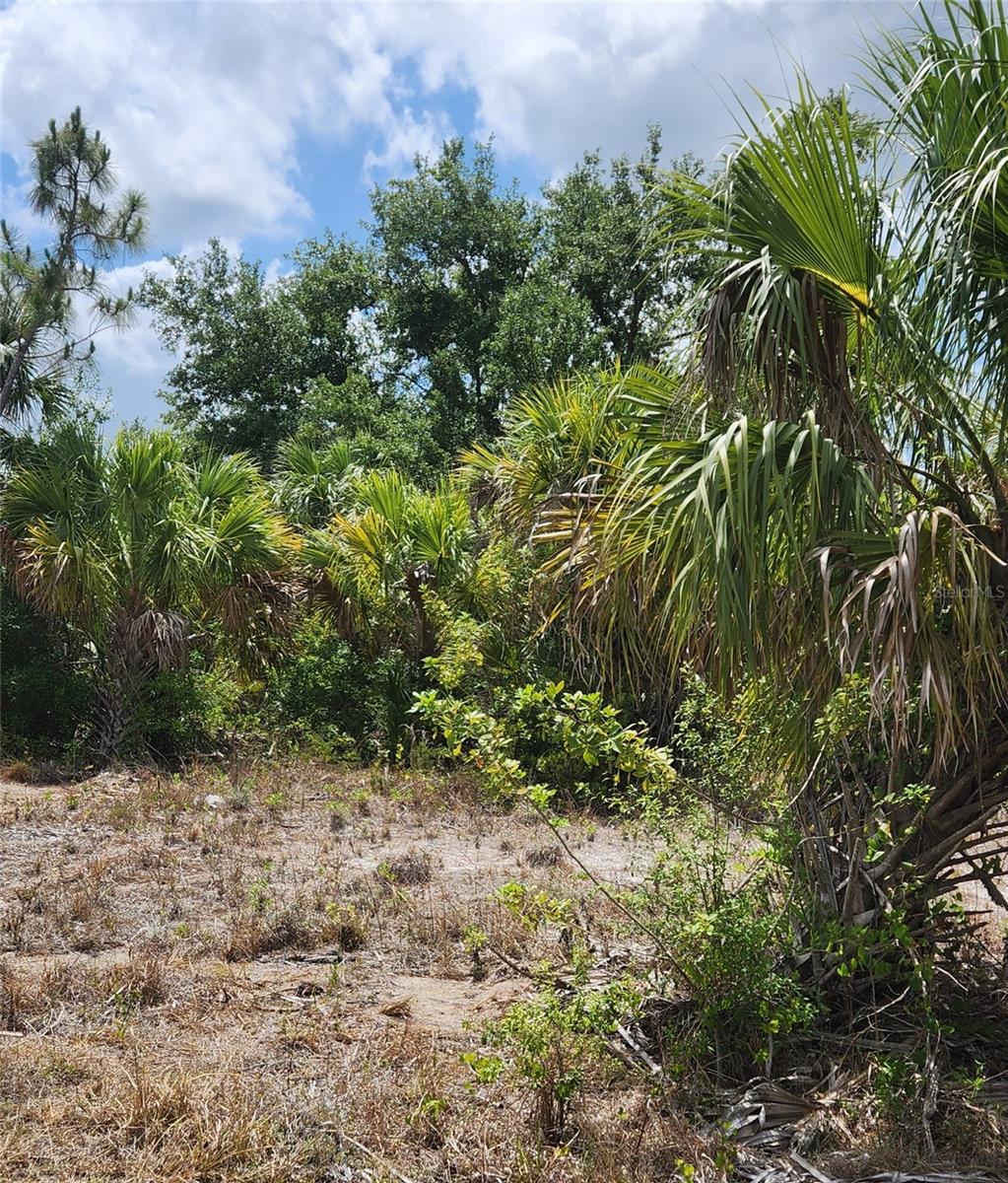 BENNINGTON ST, NORTH PORT, FL — photo 3
