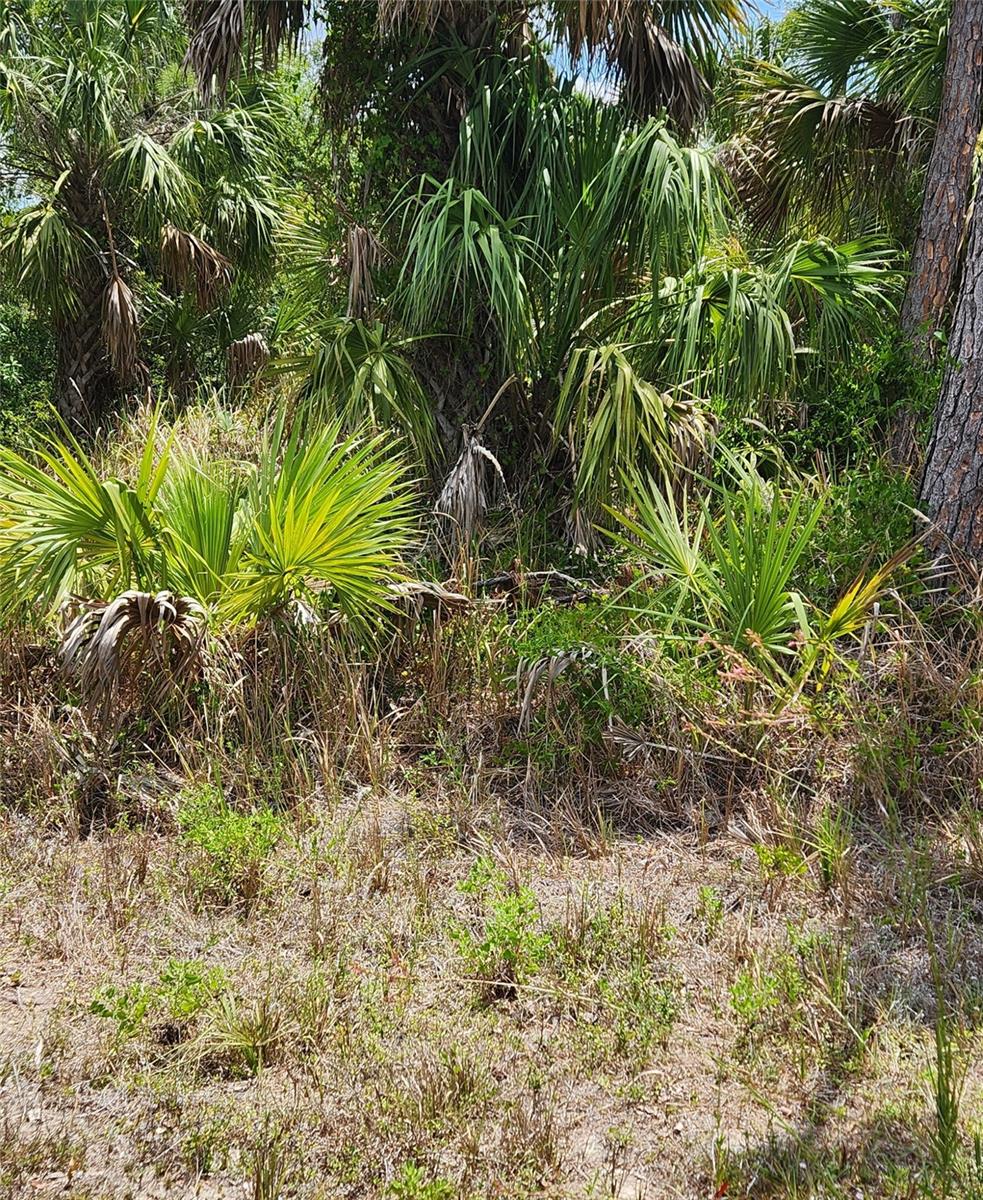 INVERNESS ST, NORTH PORT, FL — photo 3