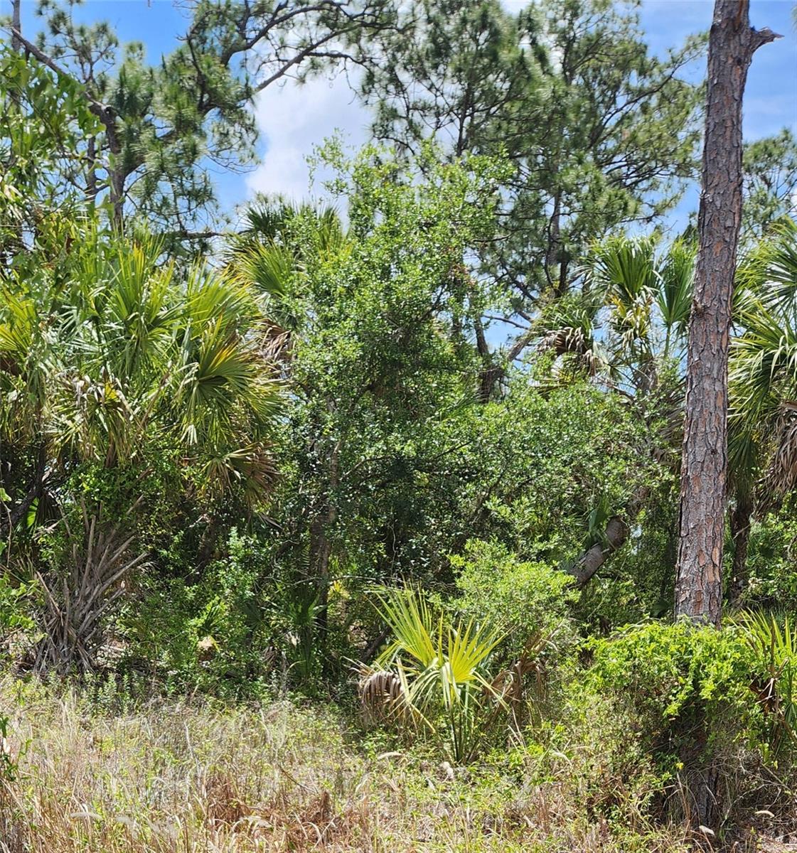 INVERNESS ST, NORTH PORT, FL — photo 5
