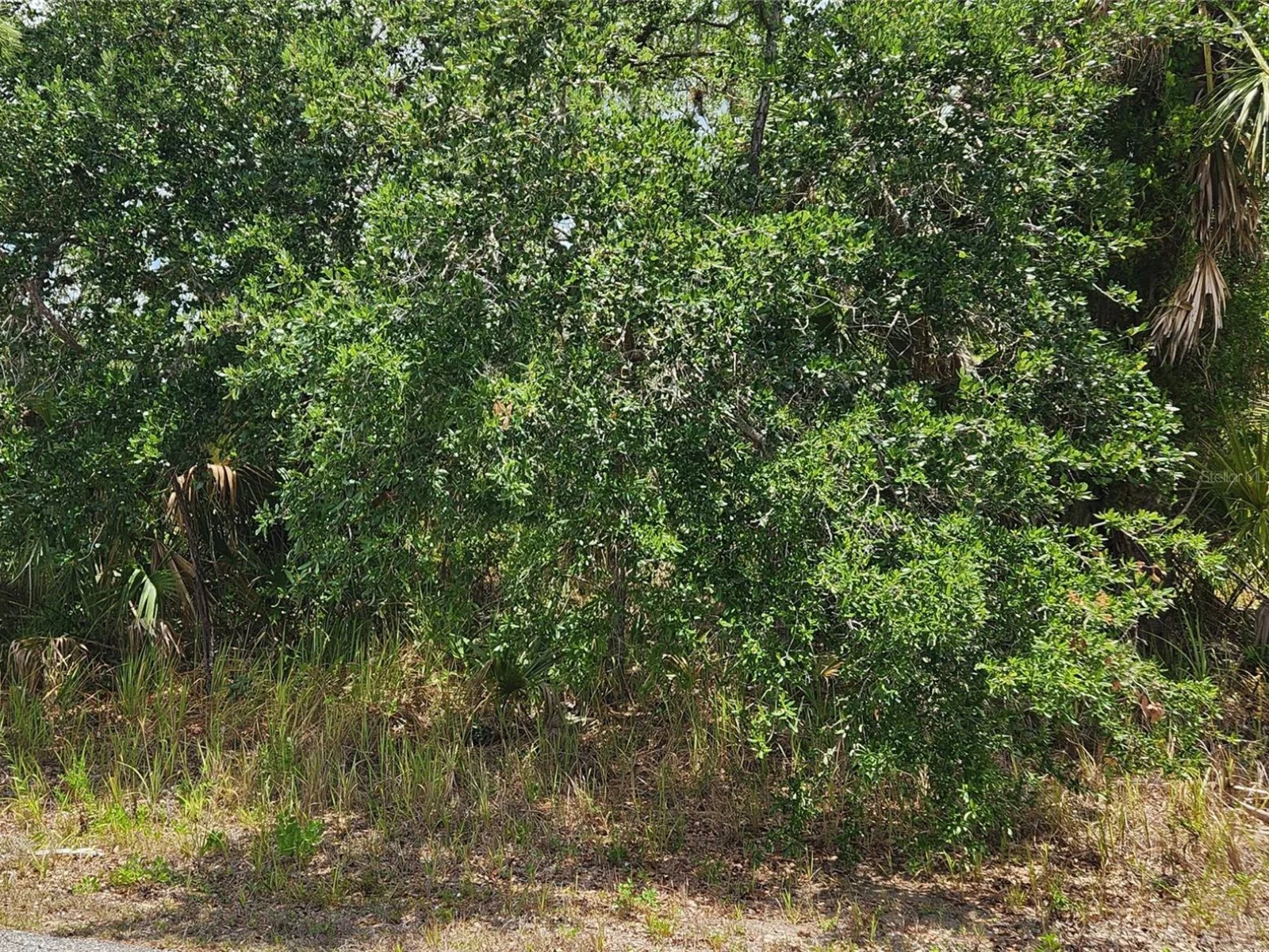 INVERNESS ST, NORTH PORT, FL — photo 6