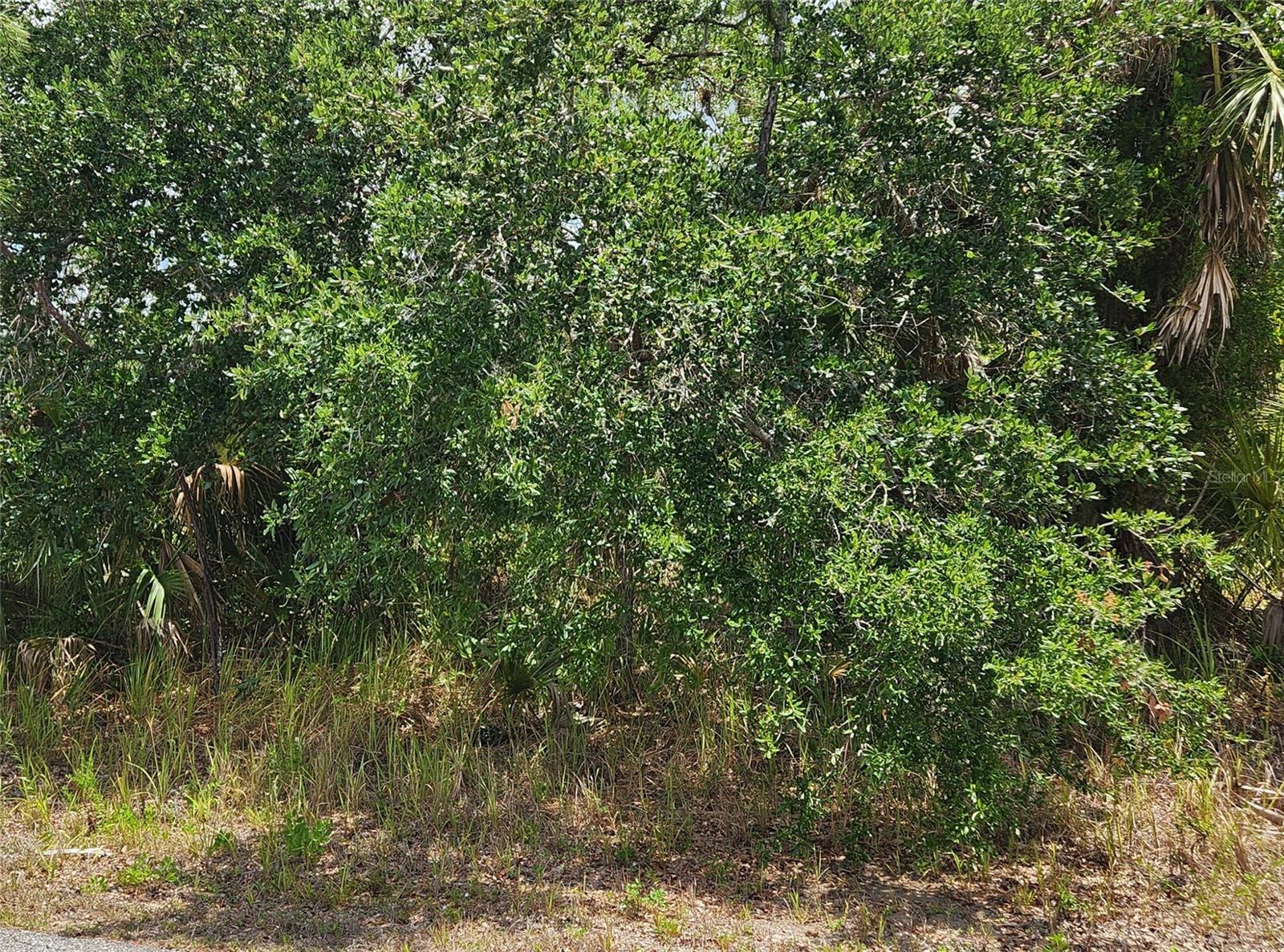 INVERNESS ST, NORTH PORT, FL — photo 5