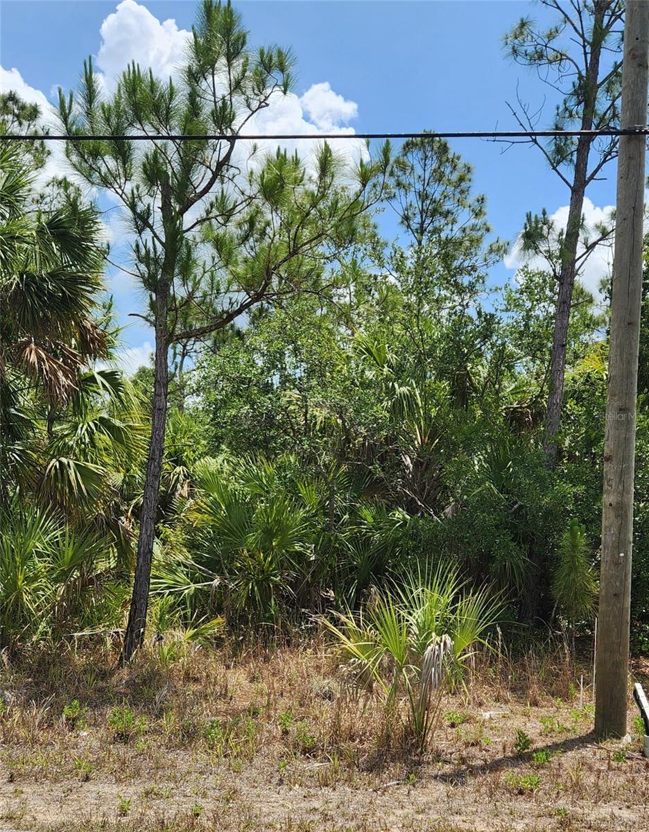 INVERNESS ST, NORTH PORT, FL — photo 7