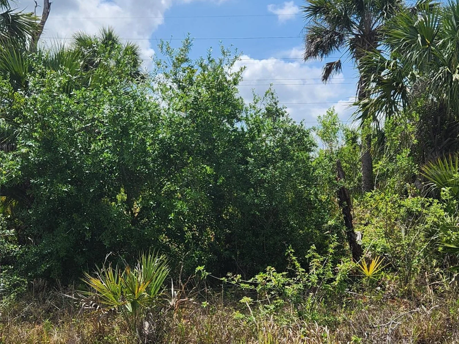 MANSFIELD CIR, NORTH PORT, FL — photo 4