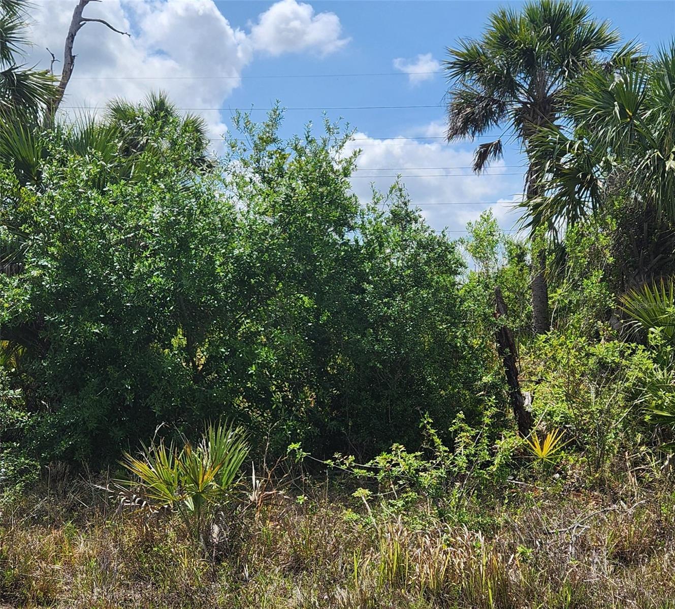 MANSFIELD CIR, NORTH PORT, FL — photo 3