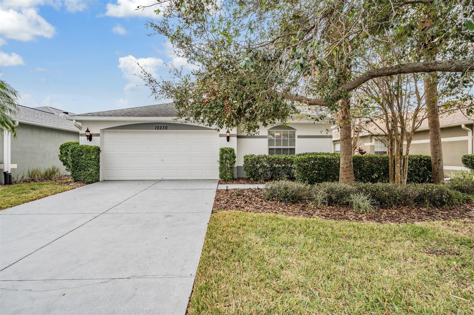 10230 OLD TAMPA BAY DR, SAN ANTONIO, FL — photo 6