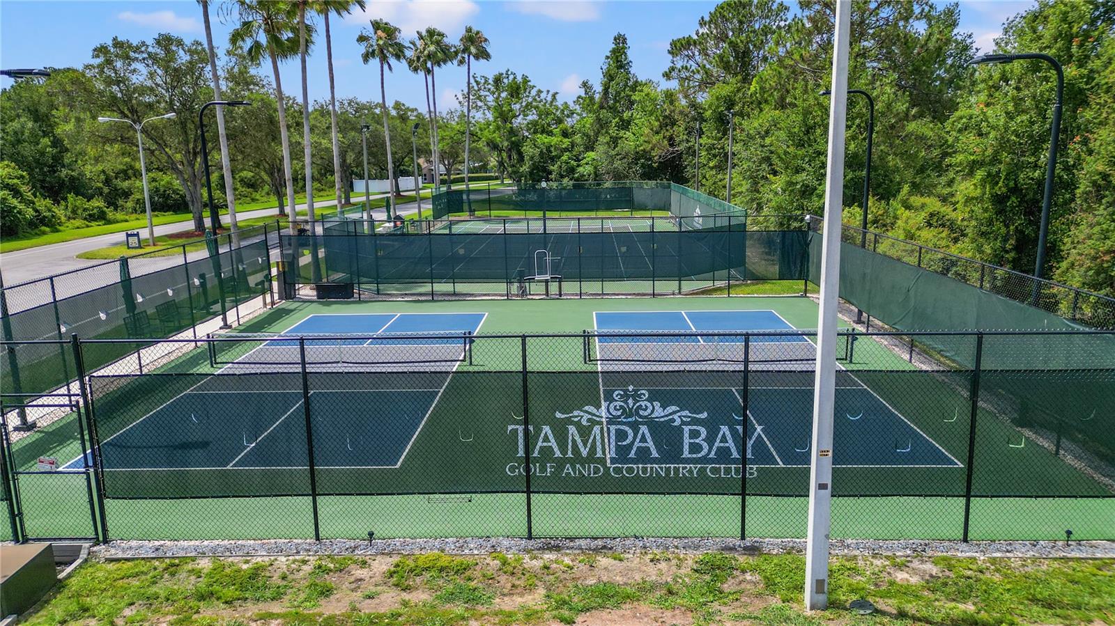 10230 OLD TAMPA BAY DR, SAN ANTONIO, FL — photo 58