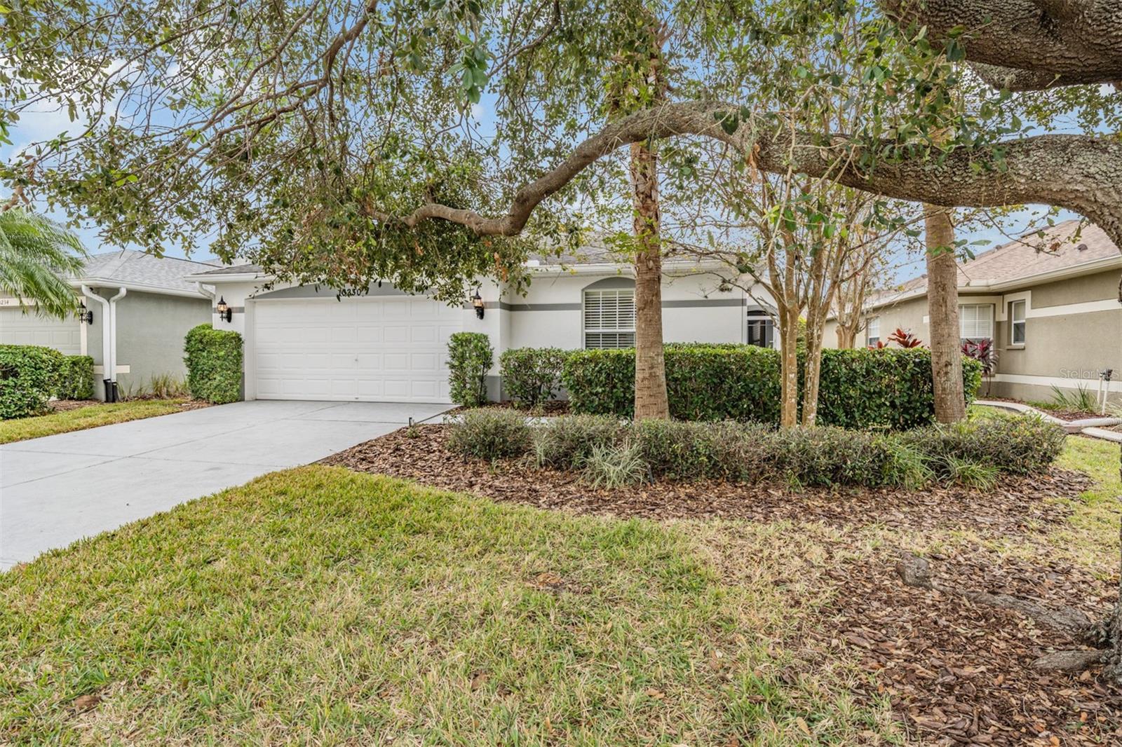 10230 OLD TAMPA BAY DR, SAN ANTONIO, FL — photo 21