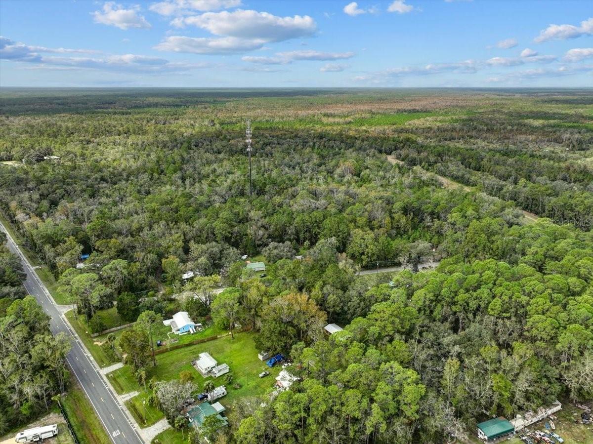 310 N OTTER CREEK AVE, BRONSON, FL — photo 4