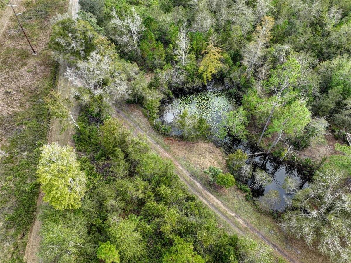 310 N OTTER CREEK AVE, BRONSON, FL — photo 9