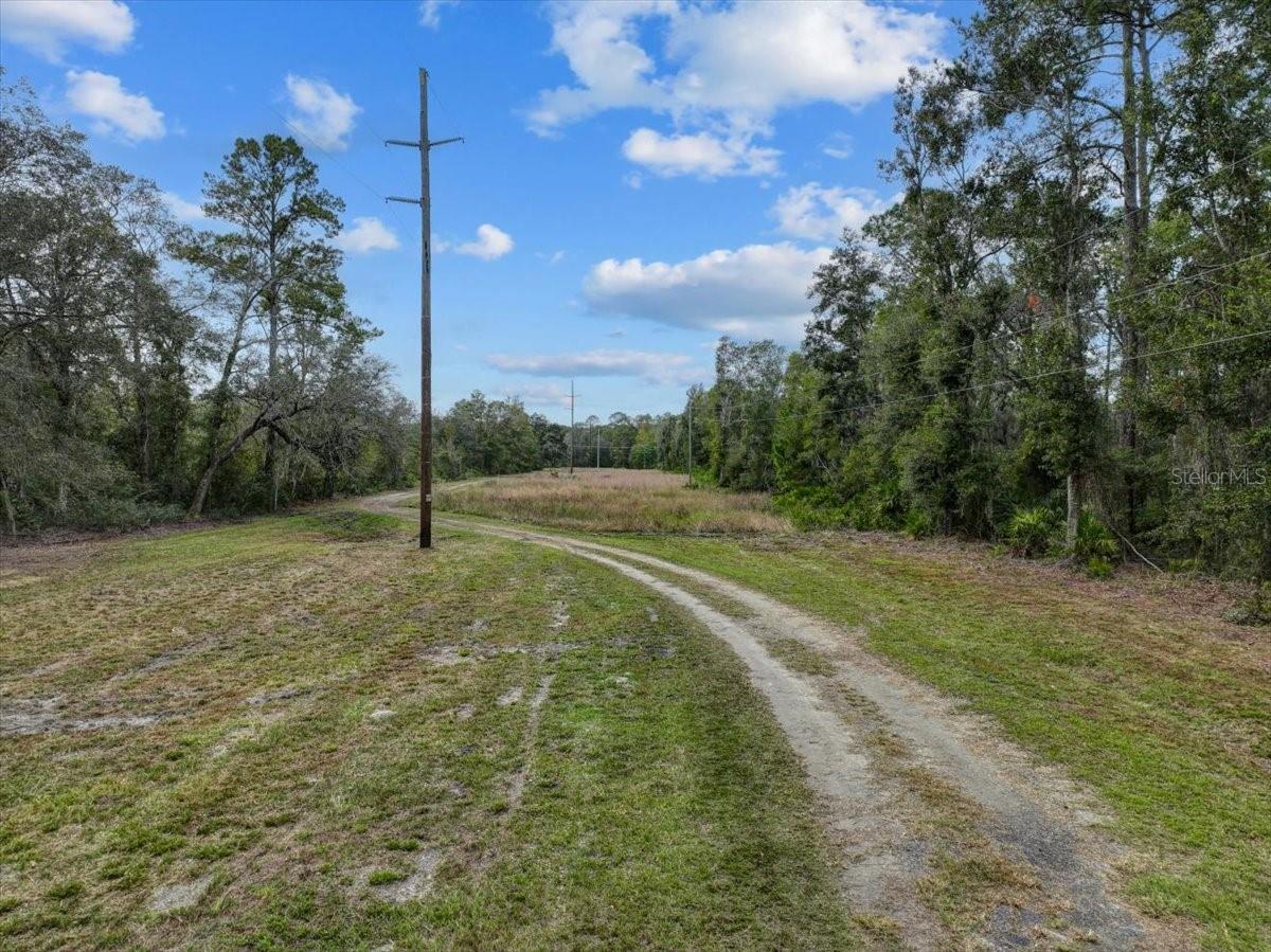 310 N OTTER CREEK AVE, BRONSON, FL — photo 17