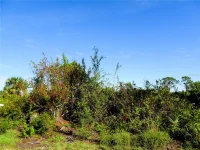 12242 WAGNER LN — photo 4