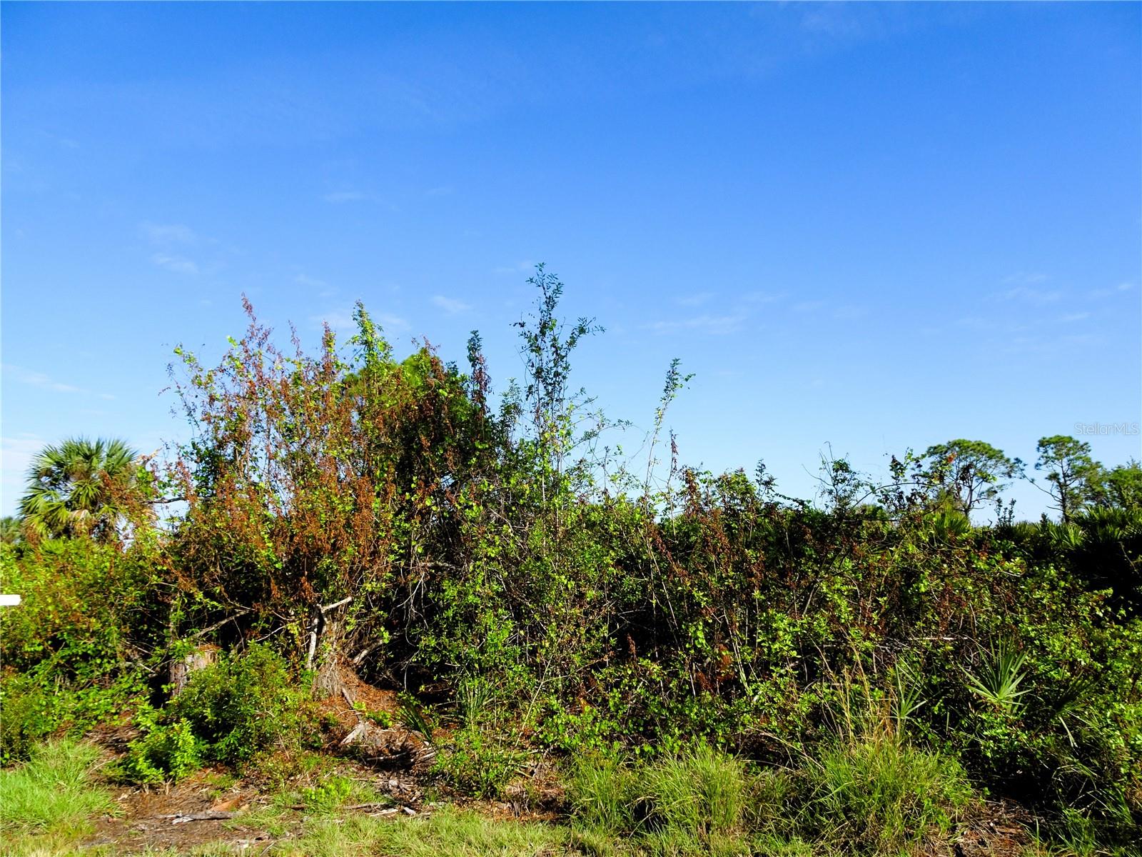 12242 WAGNER LN, PORT CHARLOTTE, FL — photo 3