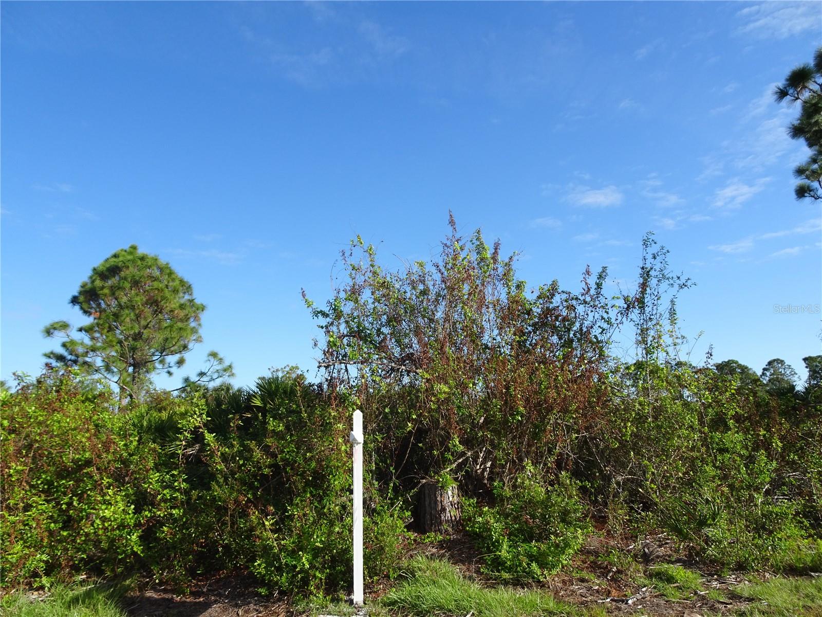 12242 WAGNER LN, PORT CHARLOTTE, FL — photo 9