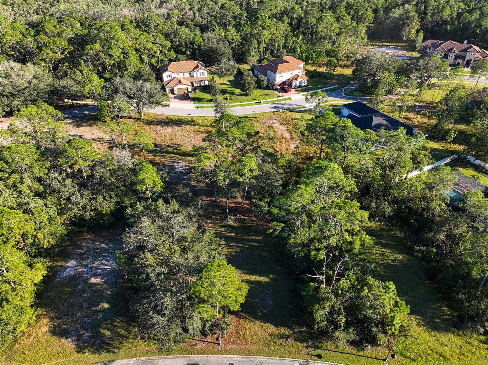 7180 OAK GLEN TRL, ST CLOUD, FL — photo 5