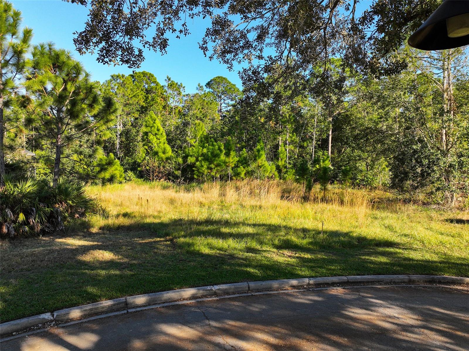 7161 OAK GLEN TRL, ST CLOUD, FL