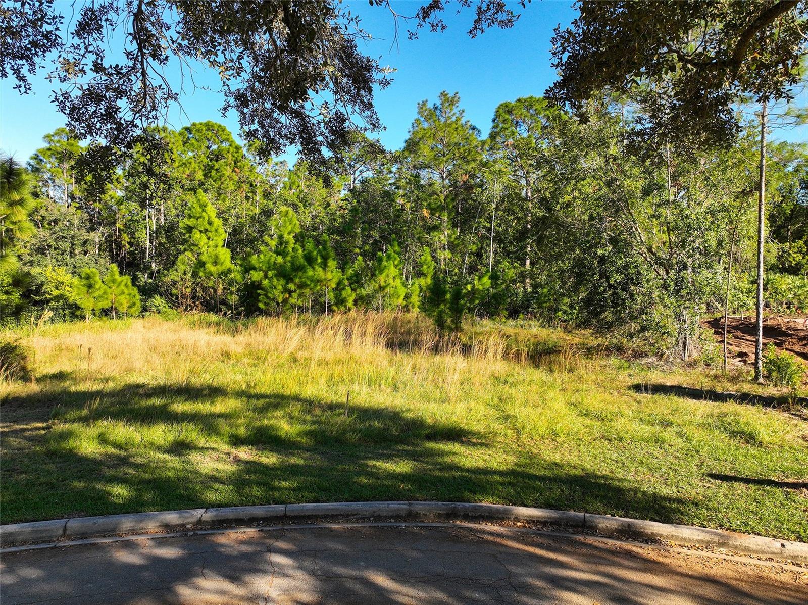 7161 OAK GLEN TRL, ST CLOUD, FL — photo 2