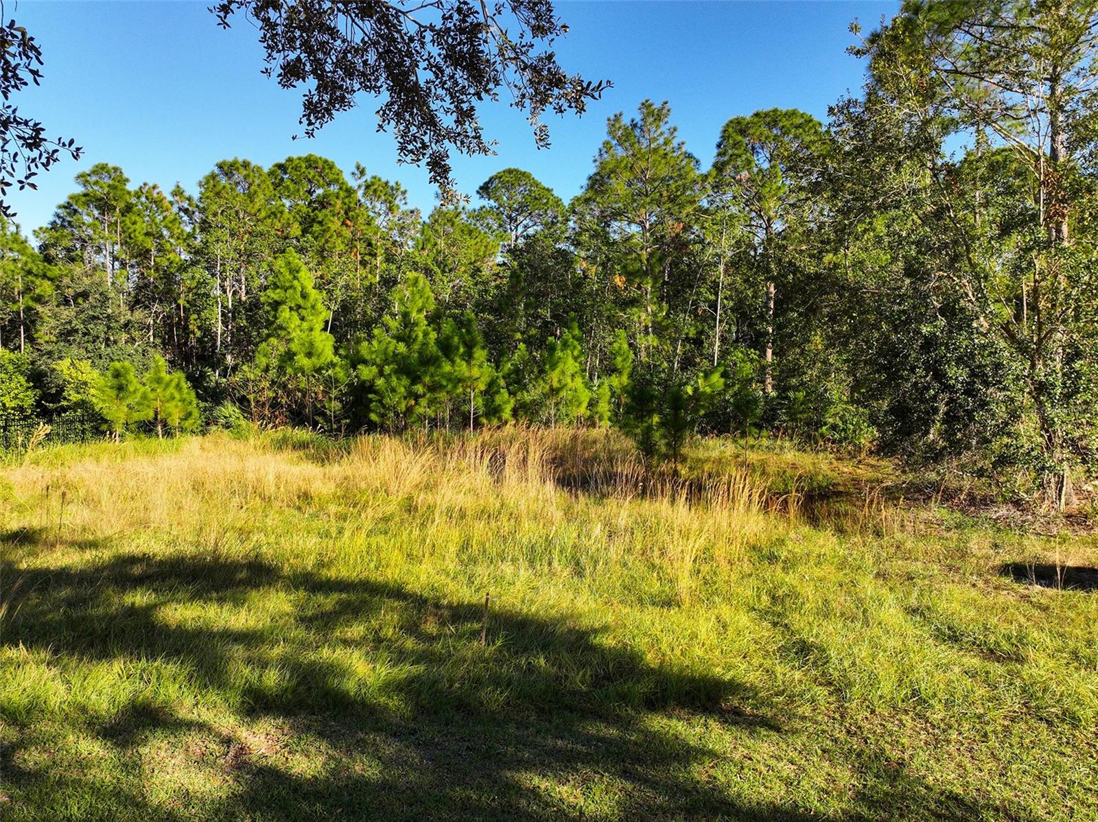7161 OAK GLEN TRL, ST CLOUD, FL — photo 3