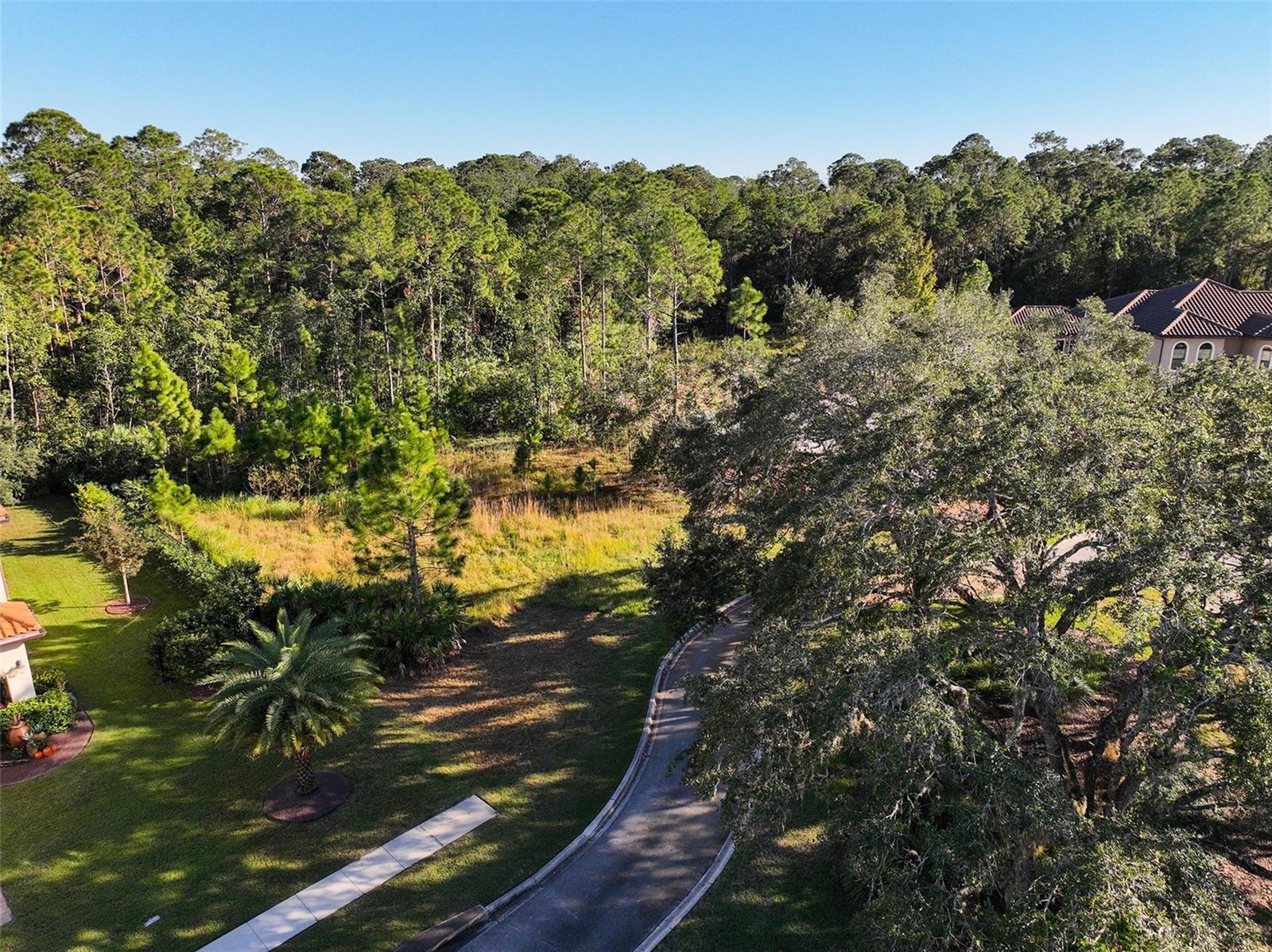 7161 OAK GLEN TRL, ST CLOUD, FL — photo 4