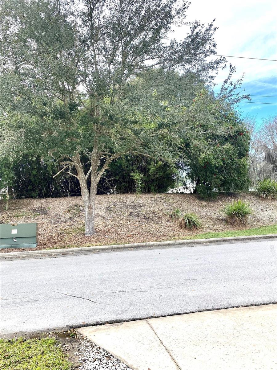 3097 NE 102ND AVENUE RD, SILVER SPRINGS, FL — photo 9