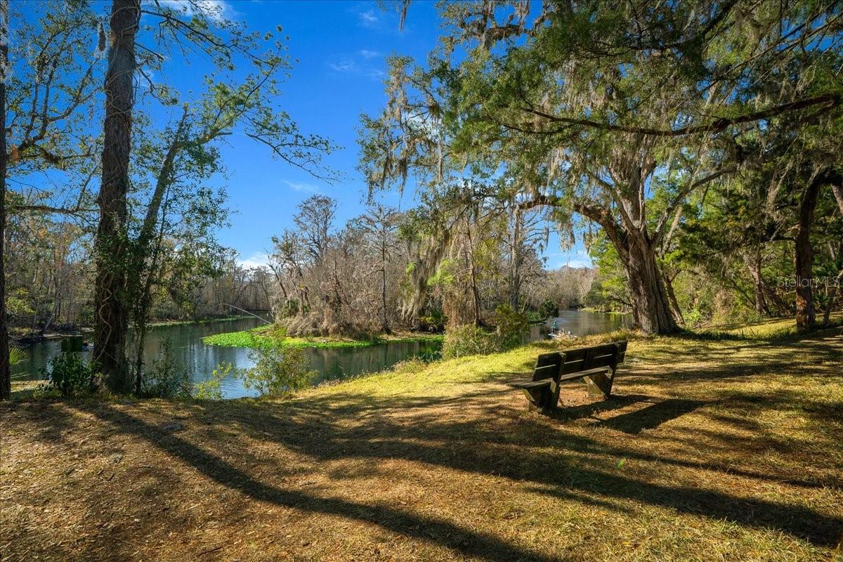 3097 NE 102ND AVENUE RD, SILVER SPRINGS, FL — photo 61