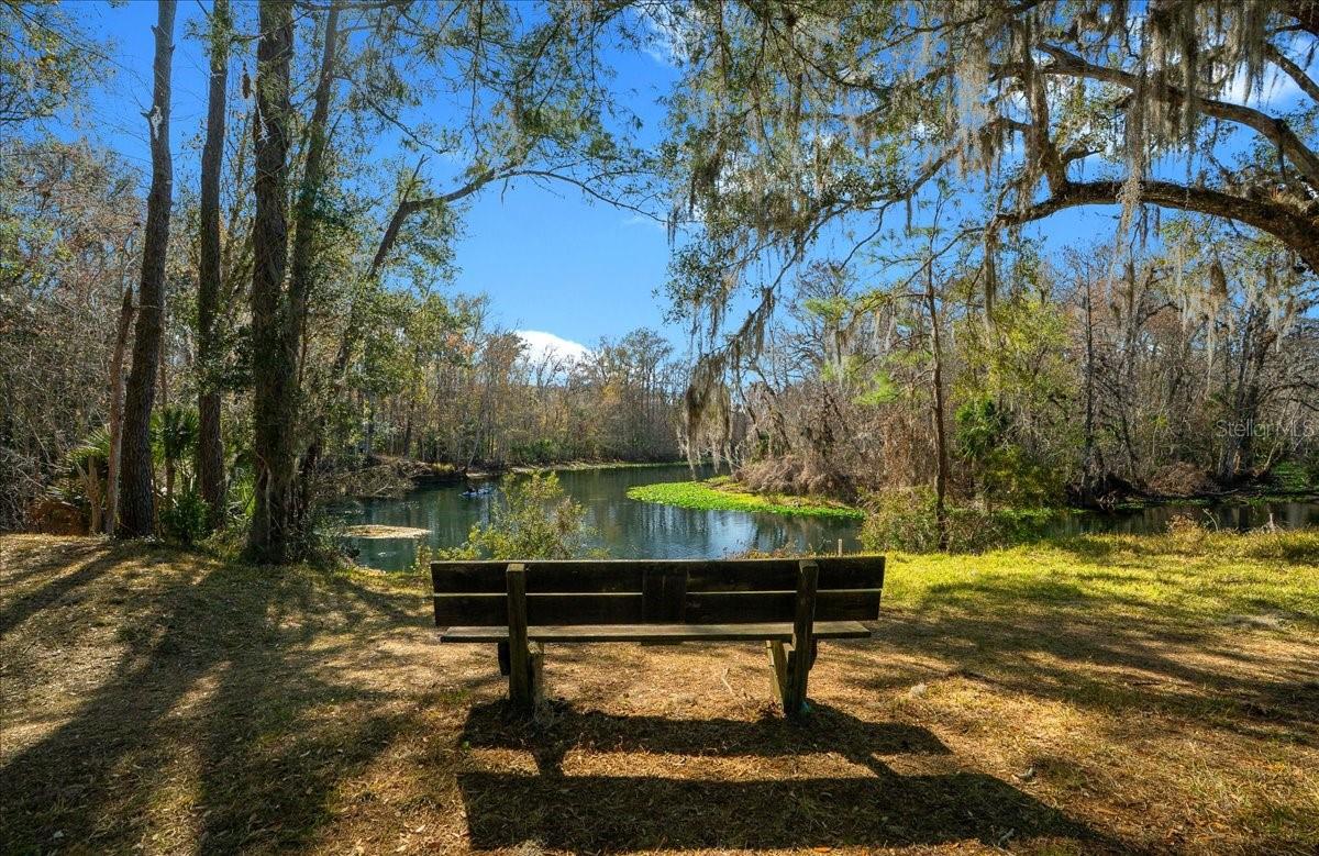 3097 NE 102ND AVENUE RD, SILVER SPRINGS, FL — photo 62