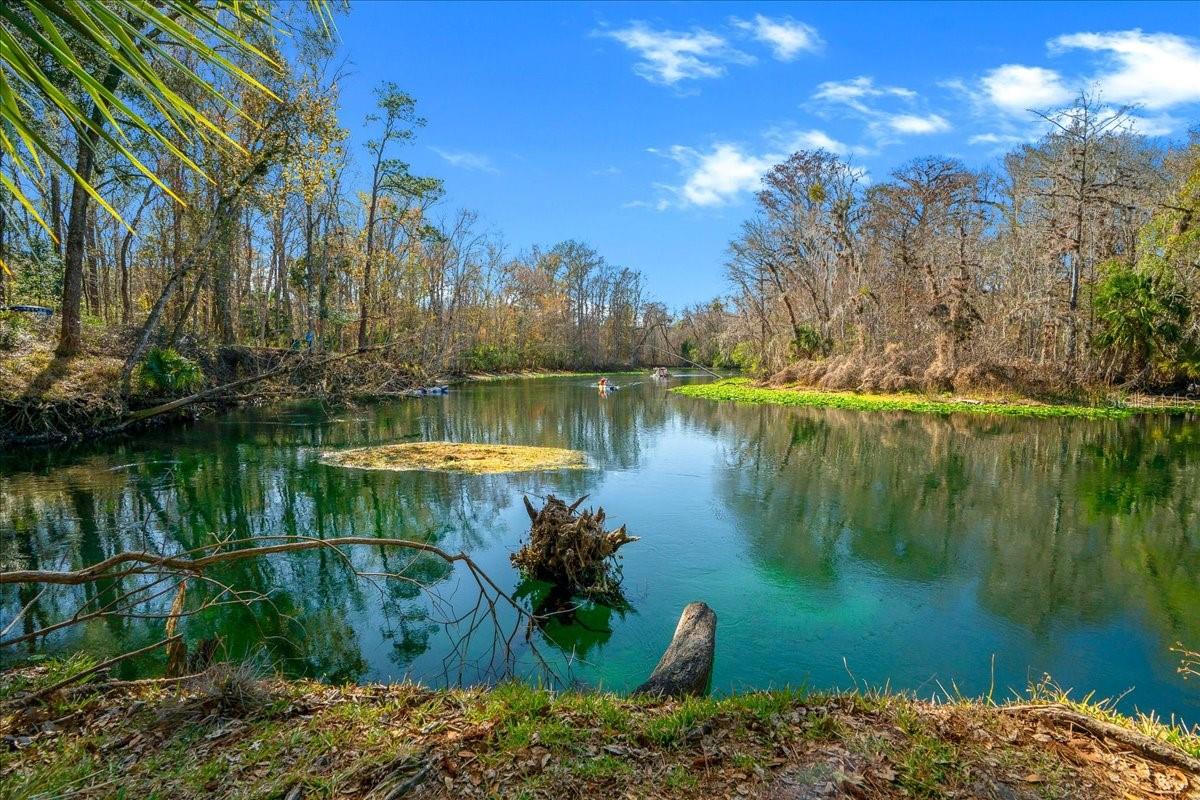 3097 NE 102ND AVENUE RD, SILVER SPRINGS, FL — photo 65