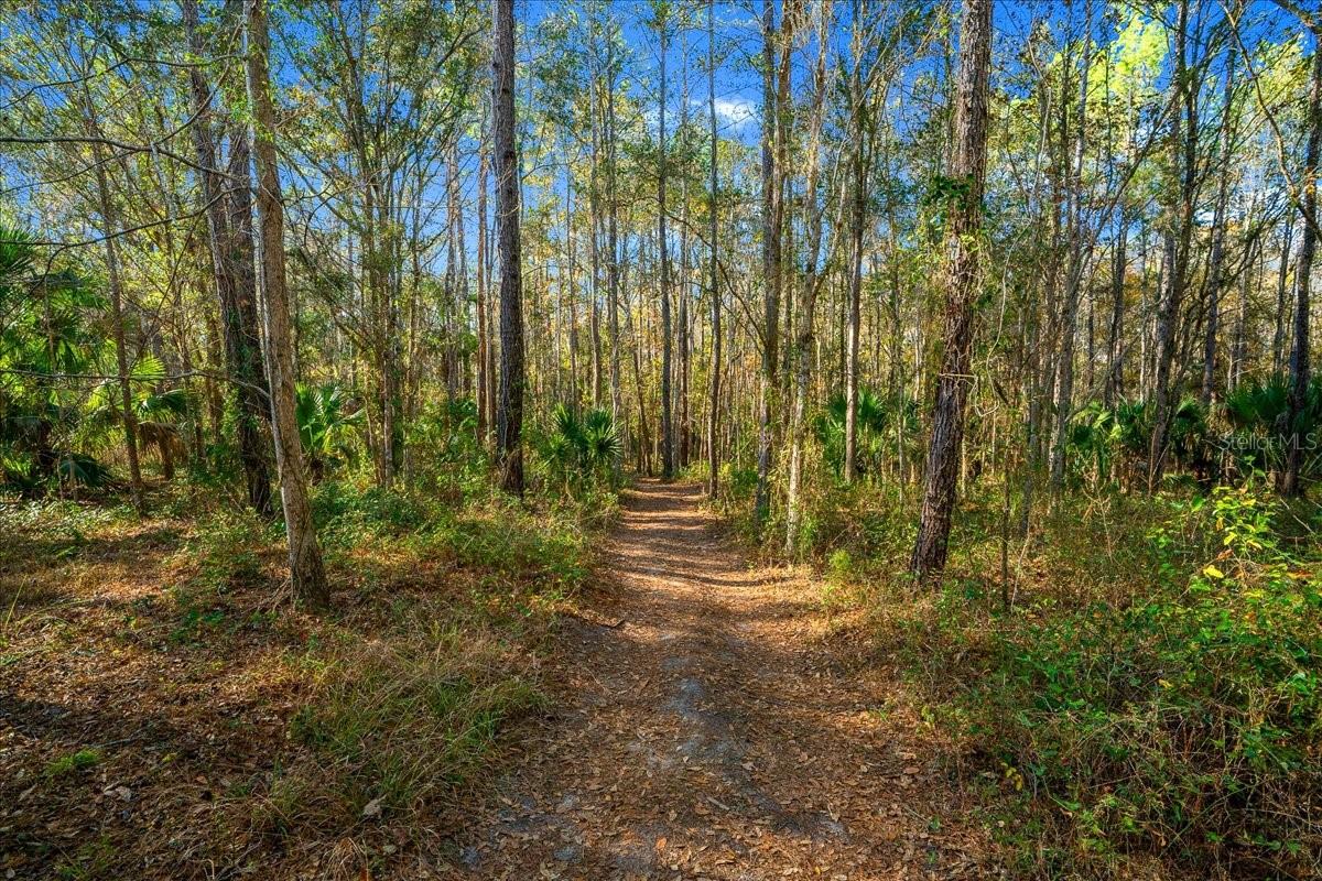 3097 NE 102ND AVENUE RD, SILVER SPRINGS, FL — photo 68