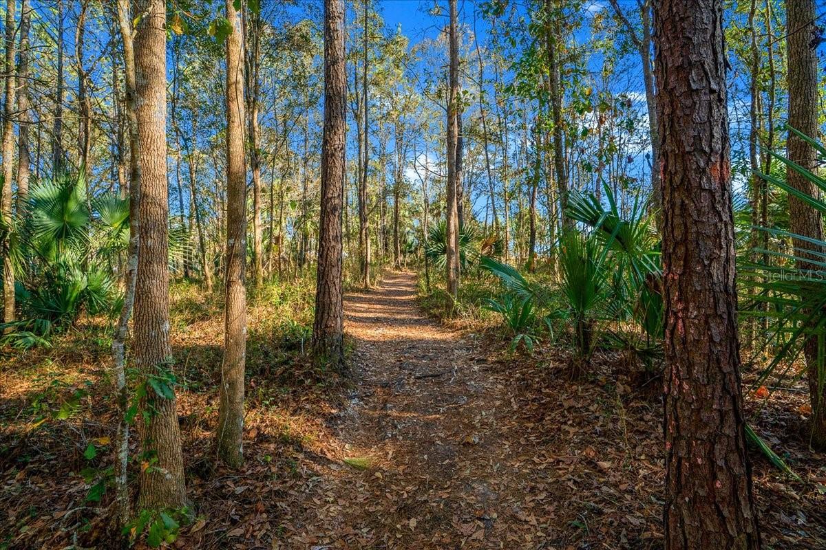 3097 NE 102ND AVENUE RD, SILVER SPRINGS, FL — photo 69
